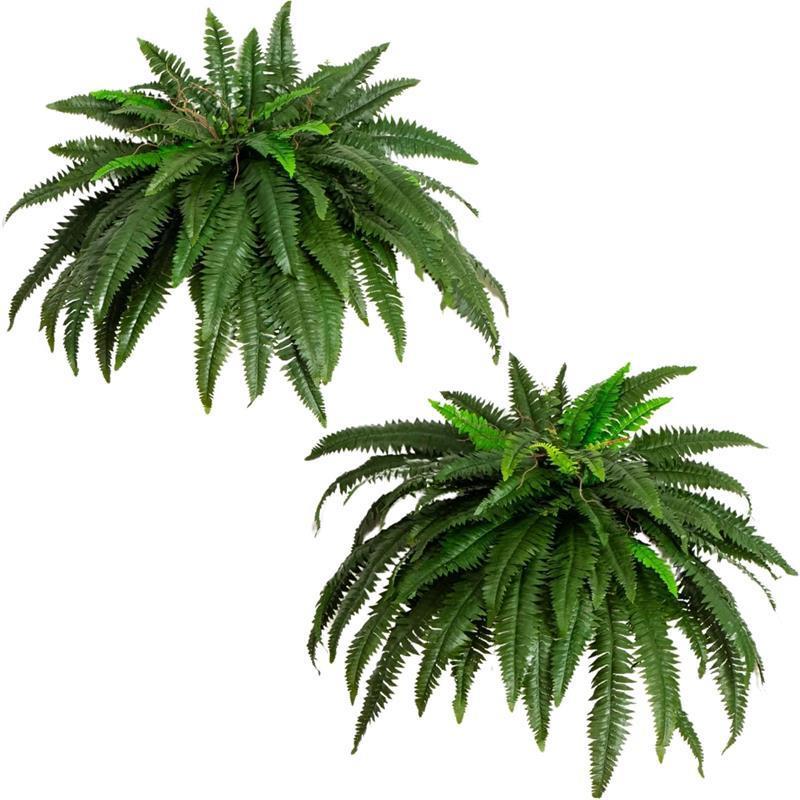 新款仿真人造植物波斯顿蕨类绿植88片叶子波士顿蕨插花草装饰图片