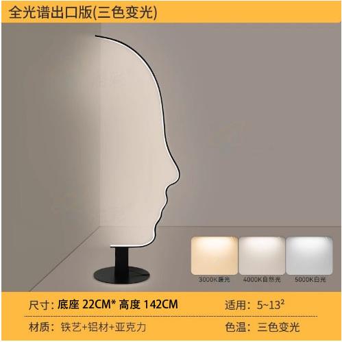 设计师款客厅灯艺术ins落地灯直播背景简约卧室书房沙发立灯