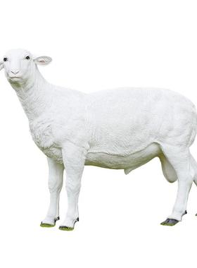 玻璃钢仿真羊雕塑绵羊湖羊摆件户外花园庭院草坪园林景观动物装饰