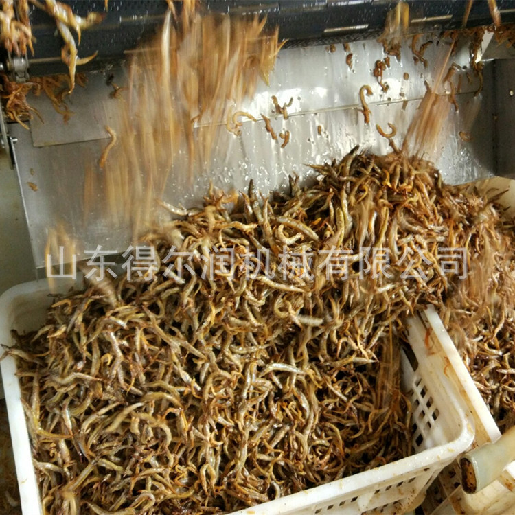 得尔润供应DER-5000型小鱼仔油炸机 电加热油炸流水线 自动出料