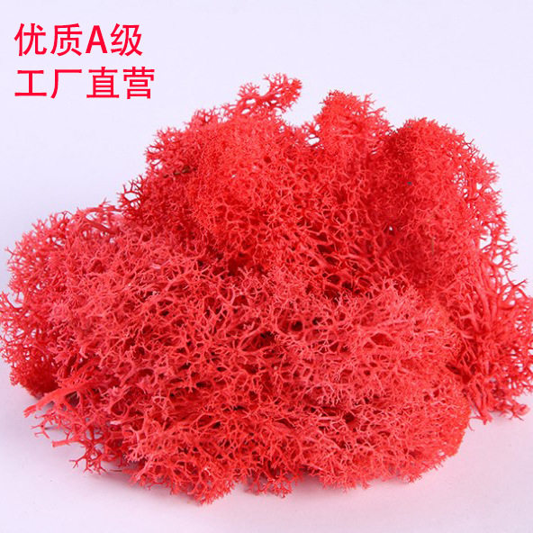 永生苔藓盒装A级500g盒装无杂质保鲜diy花材配材云南厂家批发仿真