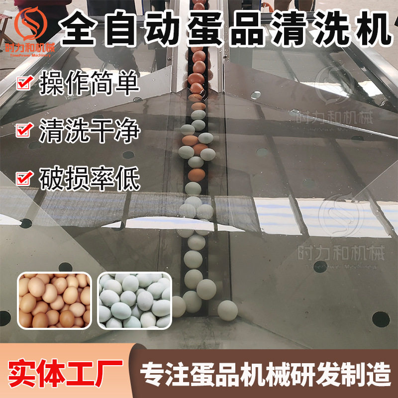 麻酱蛋电动洗蛋机咸鸭蛋小型清洗机去粪清洗设备节省人工全自动