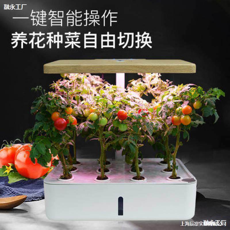 家庭智能蔬菜种植机室内无土栽培成套设备水培草莓种植箱树脂花盆