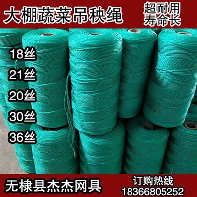 大棚吊秧绳蔬菜黄瓜吊蔓绳塑料绳子 尼龙绳爬藤网 拉绳吊绳苇板线