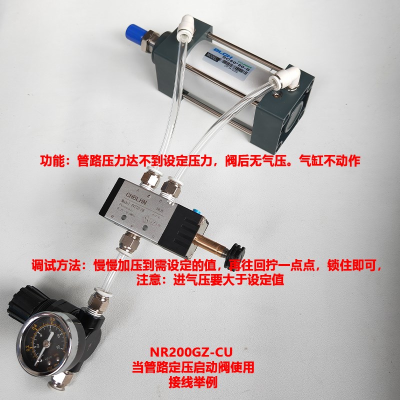 AP100-02气动溢流阀NR200GZ-CU可调安全阀泄压阀定值启动阀释放阀