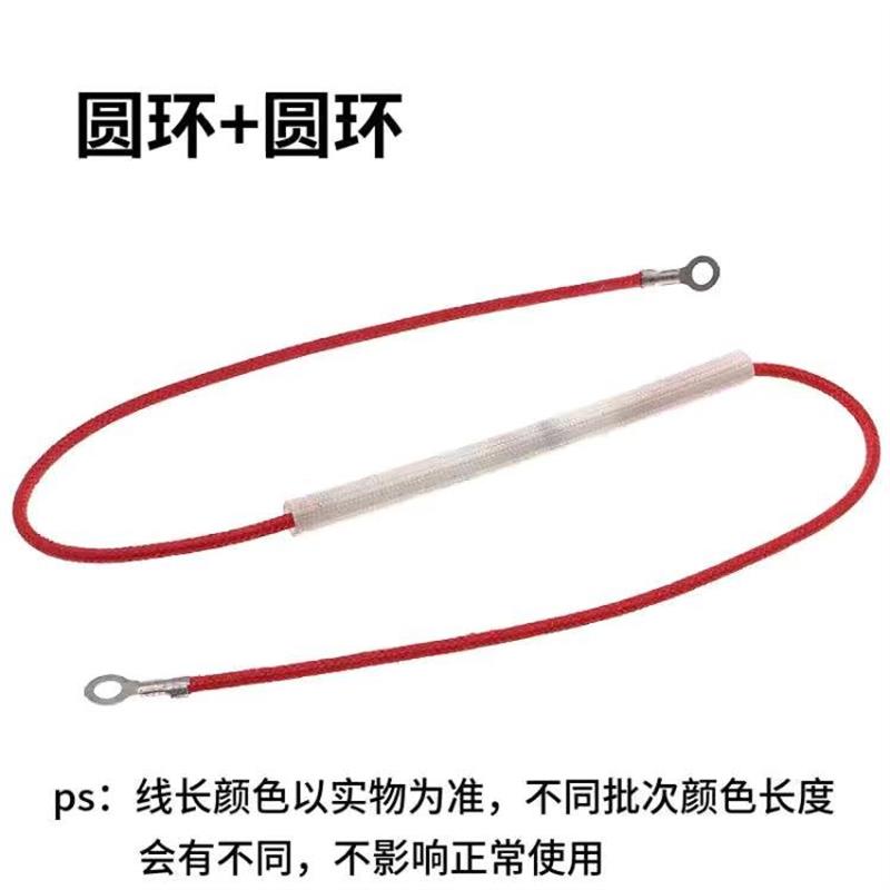 通用型电压力锅电饭煲挂烫机热风枪温度保险丝管电源超温保护10A