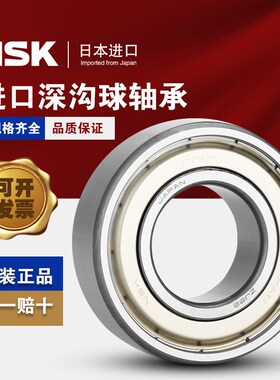 正宗NSK进口轴承6207 6208 6209 6210 6211 6212 ZZCM DDUCMC3