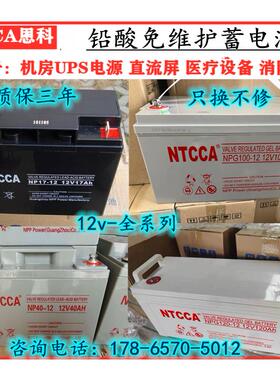 NTCCA恩科蓄电池NPG12v17AH20AH24AH38AH40AH65AH100AH机房电源