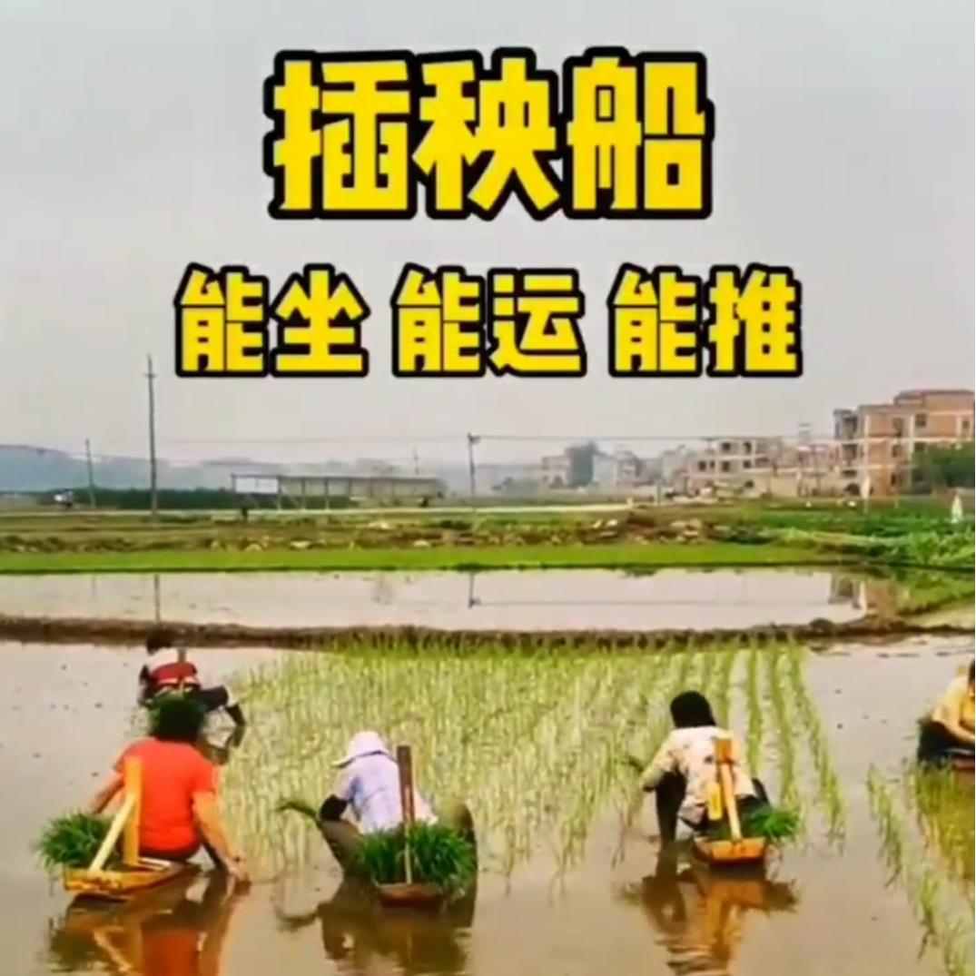 插秧船农民水稻船插秧凳子农用秧马秧凳种田水稻农村农活种植工具
