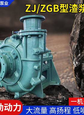 ZJ/ZGB型卧式渣浆泵抽沙煤矿铁矿泥浆泵大流量高铬合金渣浆泵