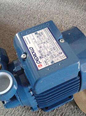 PEDROLLO佩德罗水泵卧式端吸离心泵PQ60/PQM60