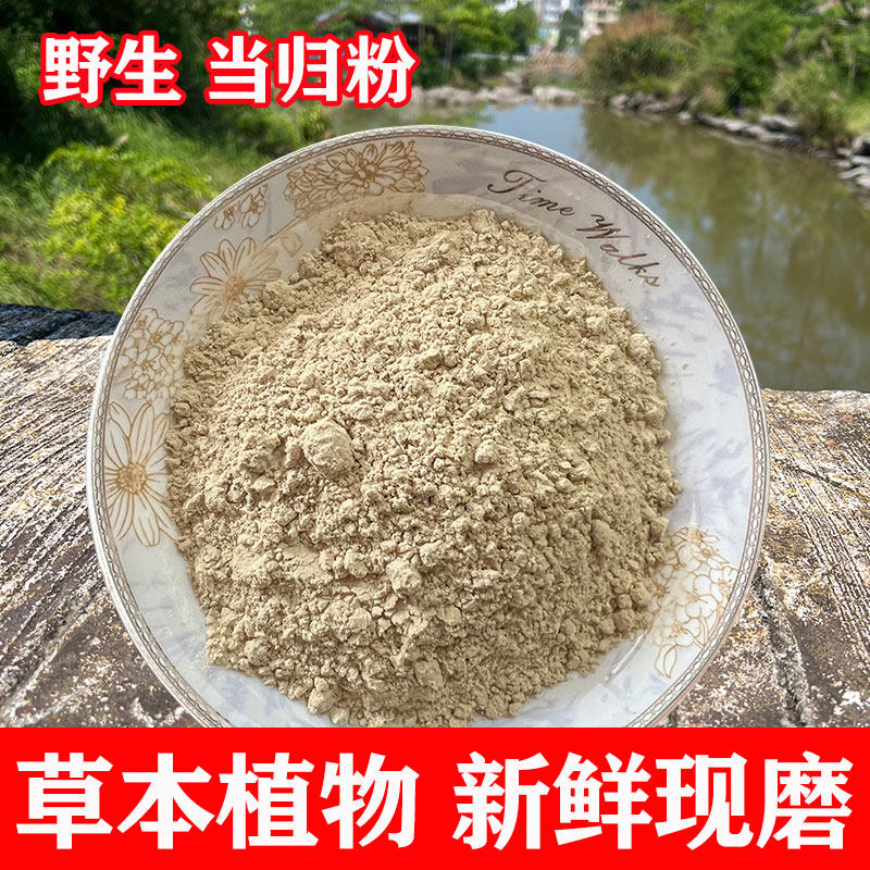 当归粉 中药材现磨当归头粉超细无硫岷县纯当归粉当归头粉全归粉