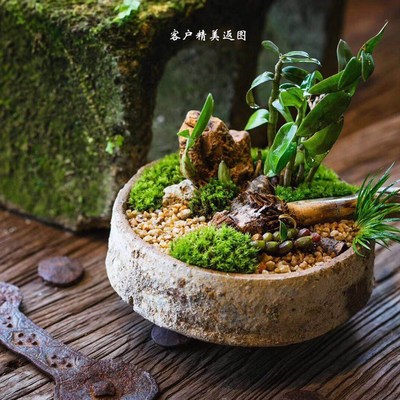 老匣钵花器 纯手工m柴烧粗陶多肉植物花盆 中式复古茶台禅意摆件