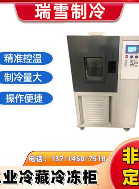 瑞雪 工业冰柜 超低温冷冻冰箱 零部件深冷处理箱厂家