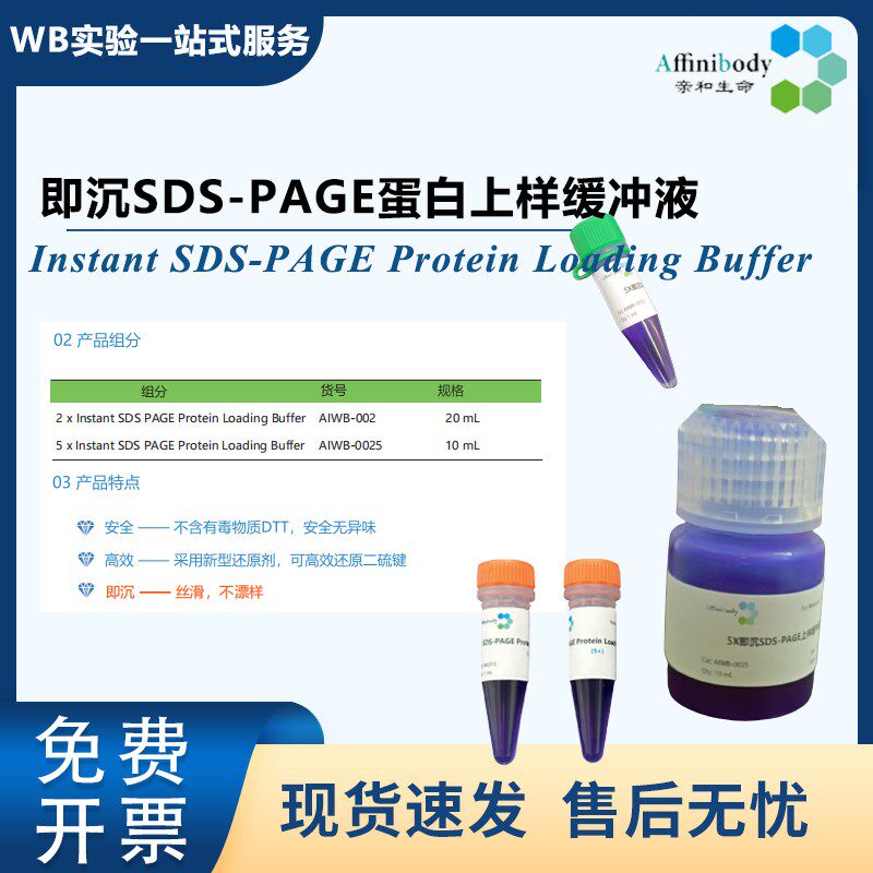 亲和生命变性聚丙烯酰胺凝胶电泳即沉loading buffer无毒不漂样图片