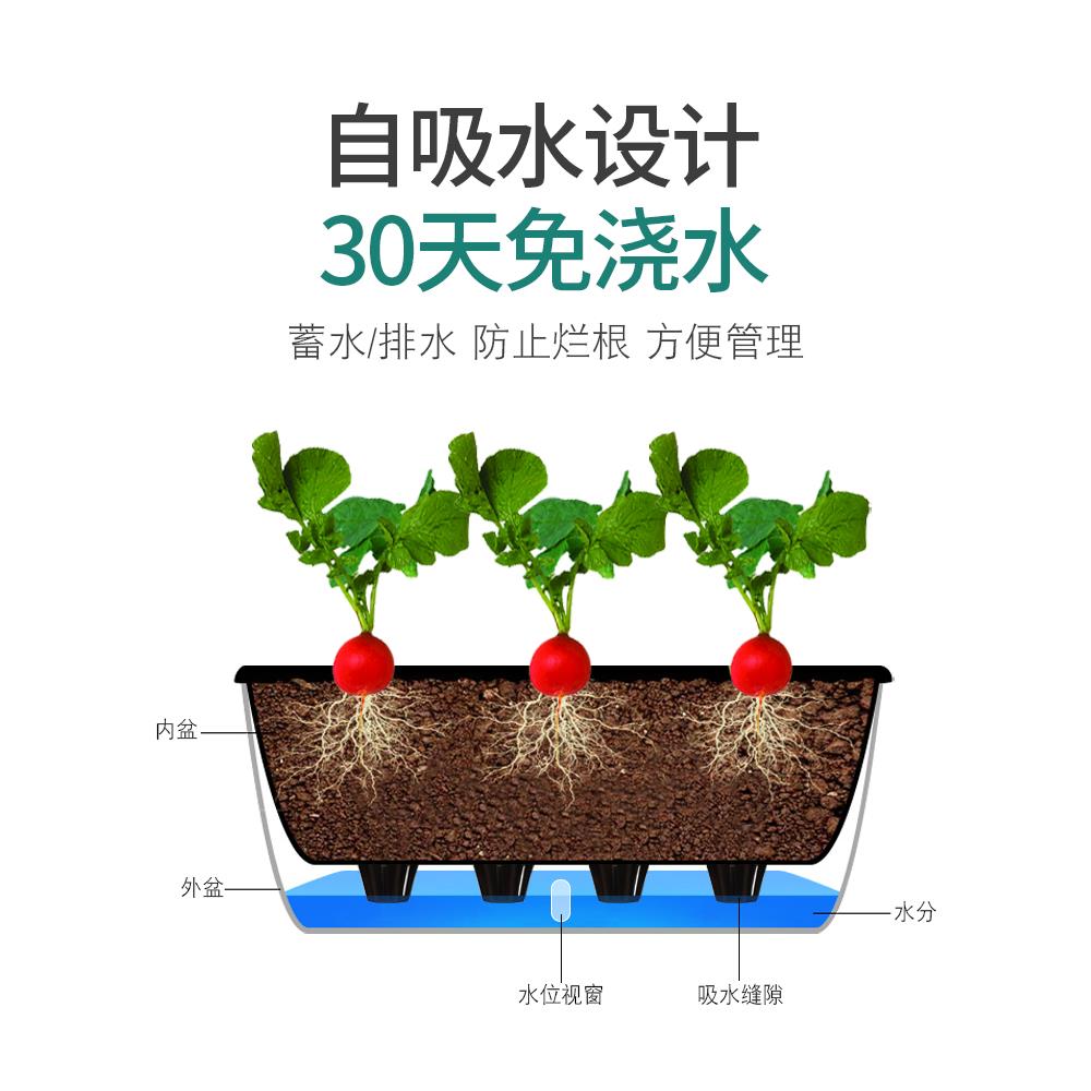 自动吸水花盆种菜种花种植箱家庭阳台懒人花槽塑料种菜盆绿萝盆栽