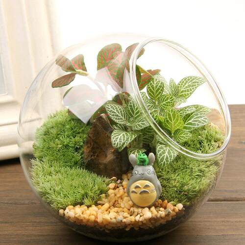 苔藓微景观创意礼品摆件苔藓斜口瓶套装diy材料包 绿植办公室摆件