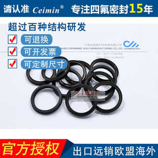 孔用泛塞封碳纤维填充四氟SS304/316L/C276/Elgiloy/Inconel 718