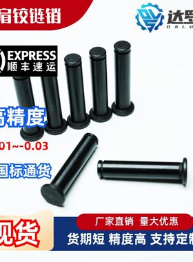 带肩铰链销 DG CG MIC01 MIC11 5 6 8 10 12 15 20 25卡簧销