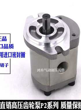 齿轮泵P208RP01DT P211 214 206 216 P222R P225 P233 P219RP01DT