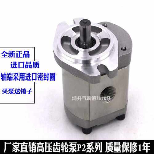 齿轮泵P208RP01DT P211 214 206 216 P222R P225 P233 P219RP01DT