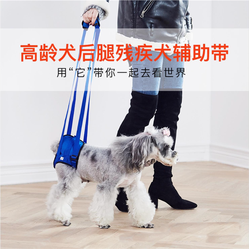 宠物辅助安全带牵引后腿无力肌肉萎缩高龄病犬残疾犬步行助力带