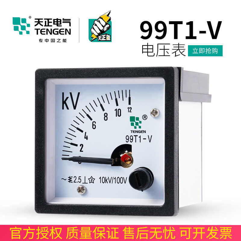 TENN天正电气99T1-V电压表交流指针式10KV/100V 12KV 250V 450V