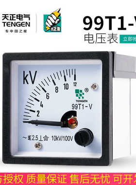TENN天正电气99T1-V电压表交流指针式10KV/100V 12KV 250V 450V