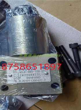WDJF-SB5-10B-DY2/ CW220RNZ5L WOOUDE 卸荷阀 电磁换向阀 油压阀