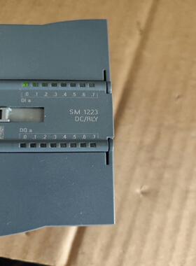 （议价）子 SM 1223 DC/RLY  功能都正常