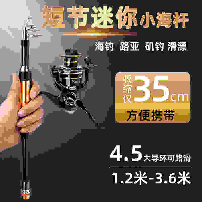 迷你小海竿伸缩路亚竿短节海钓钢笔鱼竿软尾小矶钓竿套装海杆抛竿