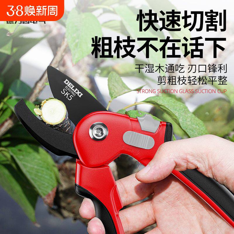 德力西园艺剪刀专用剪枝园林花艺修剪树枝果树粗花剪园艺剪子工具图片