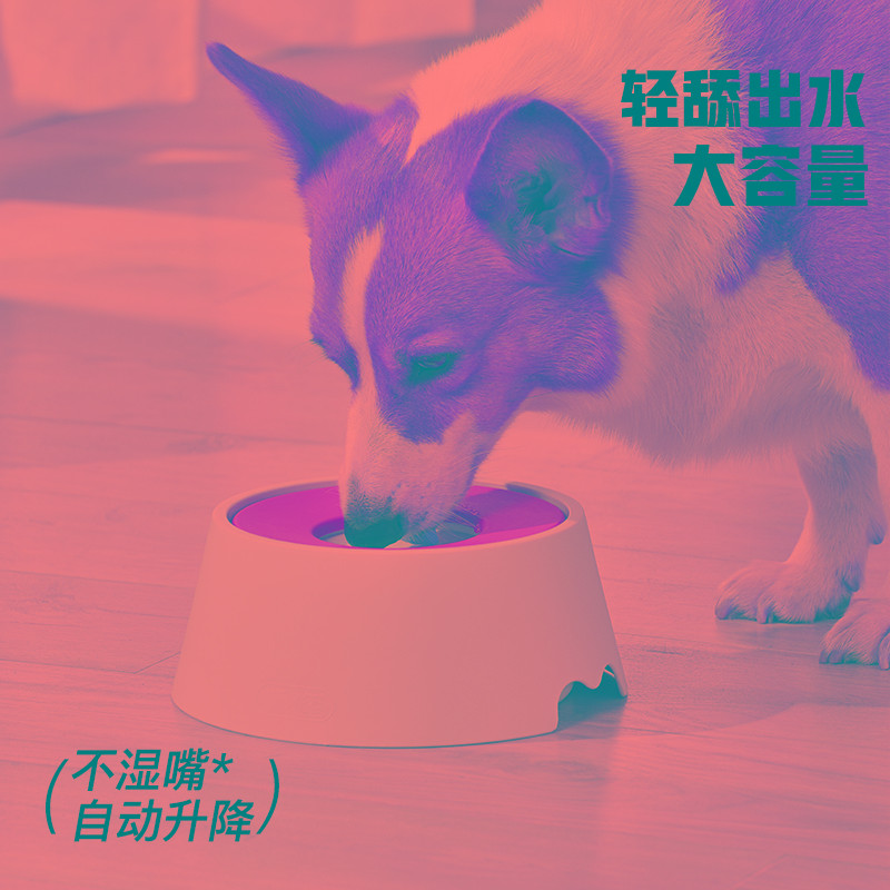 狗狗不湿嘴漂浮水碗浮力猫咪碗饮水器宠物喝水护颈防翻狗碗狗盆