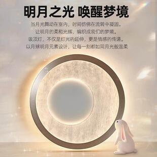 高感吸灯极意式房间顶卧室家用灯具全光谱护眼吸顶11灯中级山简灯