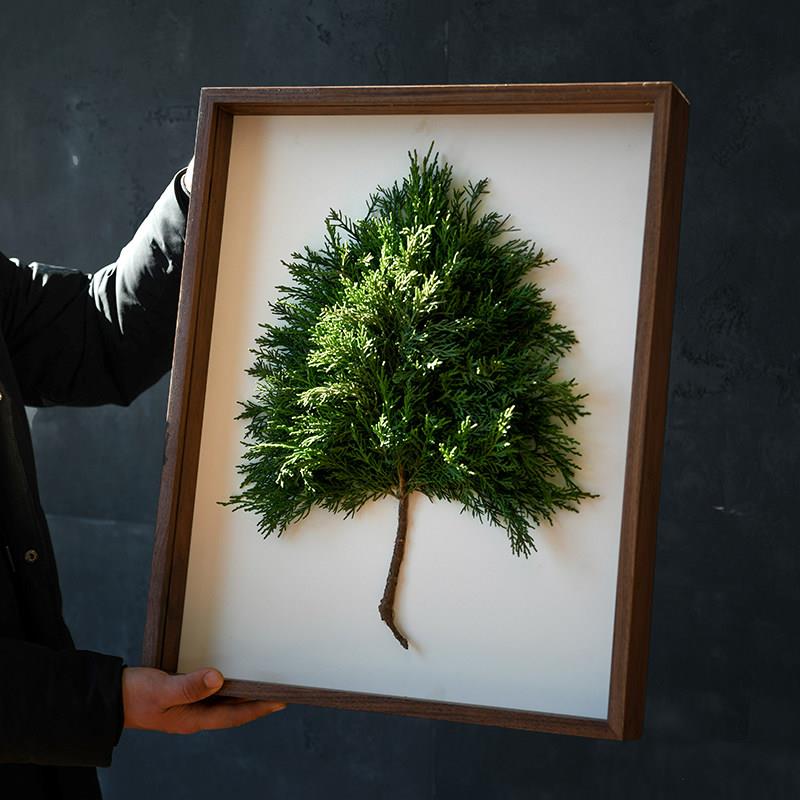 立体y中空相框实木摆台GGF干 干燥di手花工标本 画框奖牌徽章邮票