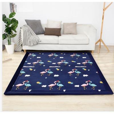 床榻榻米地垫DEA加厚3cm珊瑚绒长形客方厅室卧飘窗床边地毯前毯定