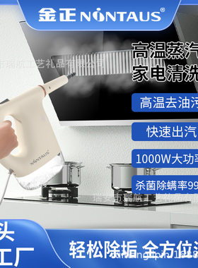 严选金正高温蒸汽清洁机家用小型厨房空调油烟机消毒清洗机