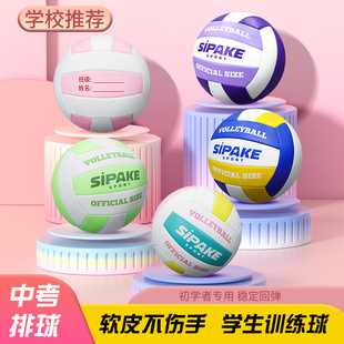 排球5号机缝pvc加厚气排球成人青少年中考训练专用耐磨沙滩排球