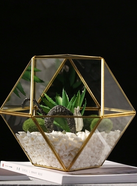 几何玻璃罩仿真多肉盆景摆件创意办公室酒柜装饰品摆设