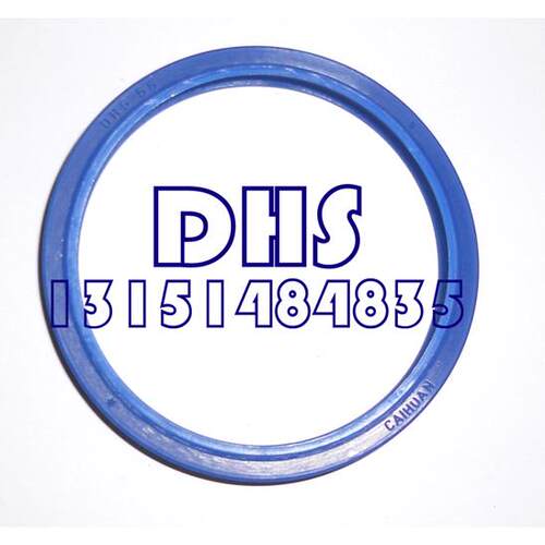 DHS 型 45*53/50*58*5/6.5/50*60*5/7防尘密封件活塞杆 液压 油封