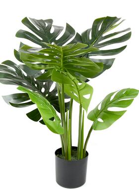 INS龟背盆栽树绿DD231007网红家居装饰风仿真植大叶龟背竹假盆植