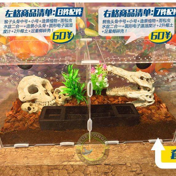 双格亚虫克0力爬饲养箱守宫火玫瑰蜘蛛蝎子甲虫盒爬宠盒4*双格爬,宠物/宠物食品及用品,玩具/造景装饰,淘宝优惠券,粉丝福利购,淘宝优惠卷