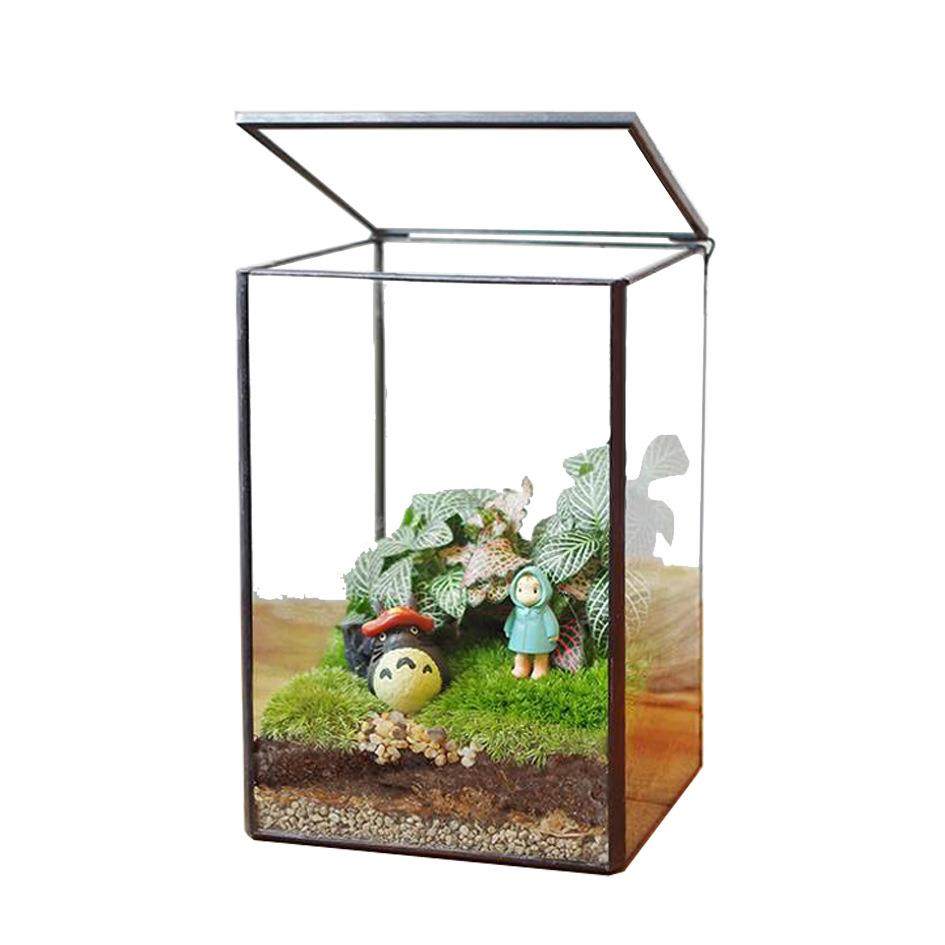 苔藓沉木微景观雨林缸生态瓶造景几何玻璃花房创意植物盆景长方形