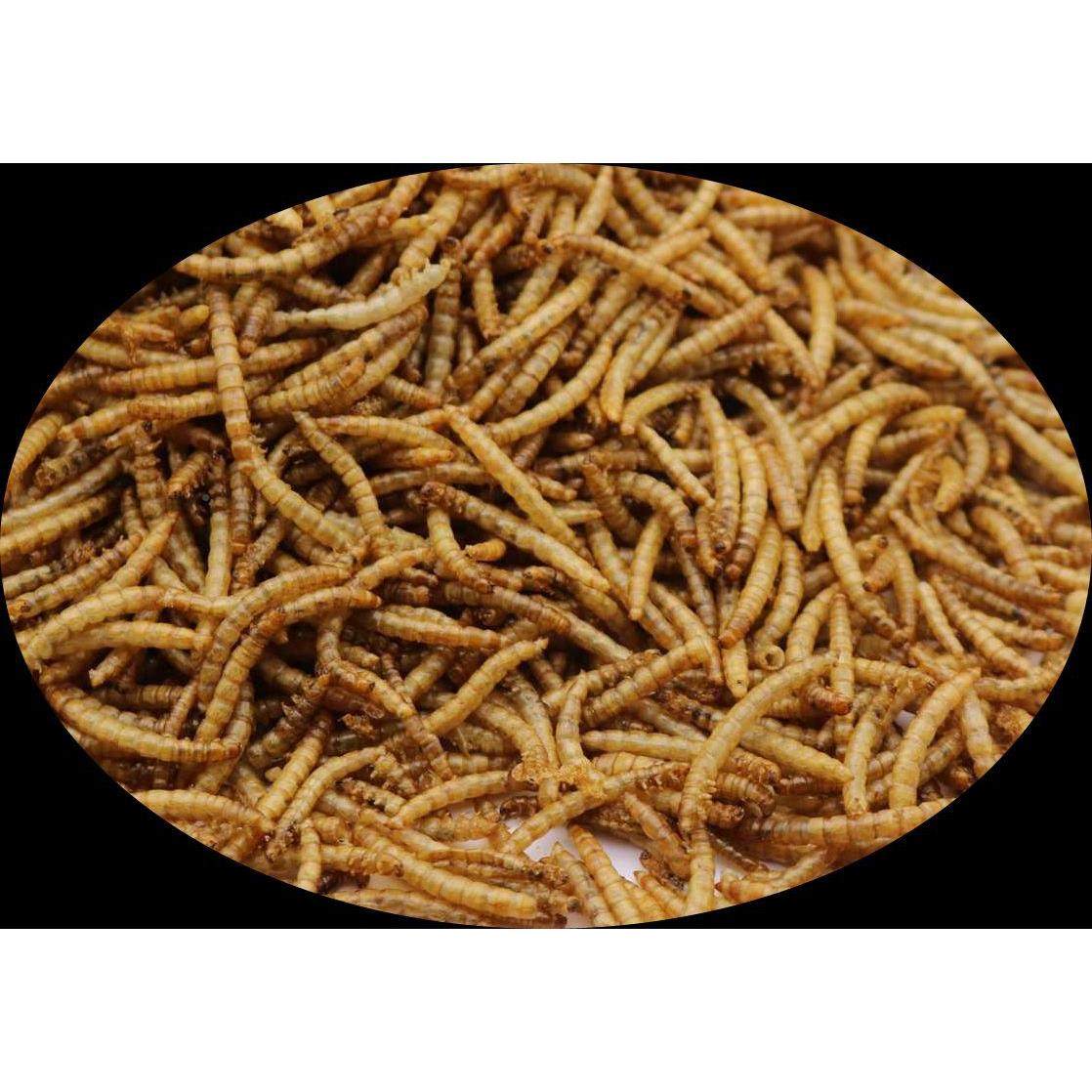 烘干微波面包黄粉虫VSV观料赏鱼鸟干仓鼠零食饲厂虫家自销1公斤,宠物/宠物食品及用品,观赏鱼饲料,淘宝优惠券,粉丝福利购,淘宝优惠卷