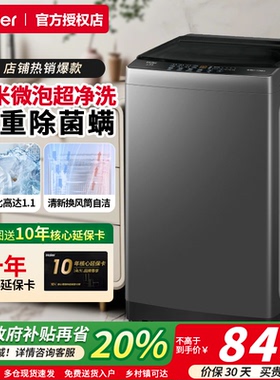 海尔10kg家用波轮洗衣机全自动抗菌一级能效去污除螨租房用Z10E0