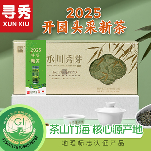 2025新茶寻秀永川秀芽特级绿茶叶明前高山云雾茶120g重庆特产礼盒
