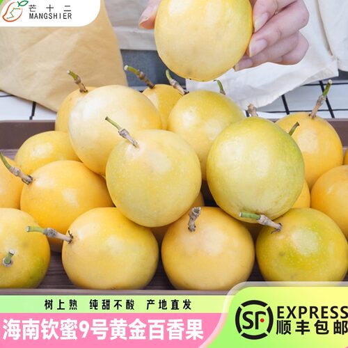 芒十二海南钦蜜9号黄金百香果甜