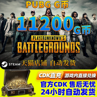 PUBGG币绝地求生11200G币金币吃鸡gb游戏币皮肤点卷充值兑换码CDK