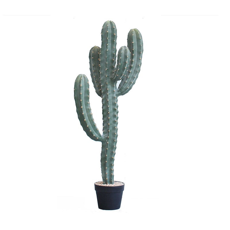 仿真绿色植物仙人柱仙人掌盆u栽热带沙生植物造景组合民宿咖啡厅