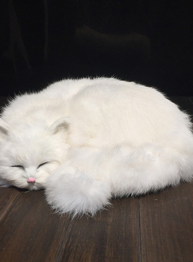 仿真猫咪动物模型家居装饰品桌面摆C件真皮毛动物玩偶软装饰品摆